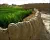گزارش تصویری روستای «شوکّی» سیستان