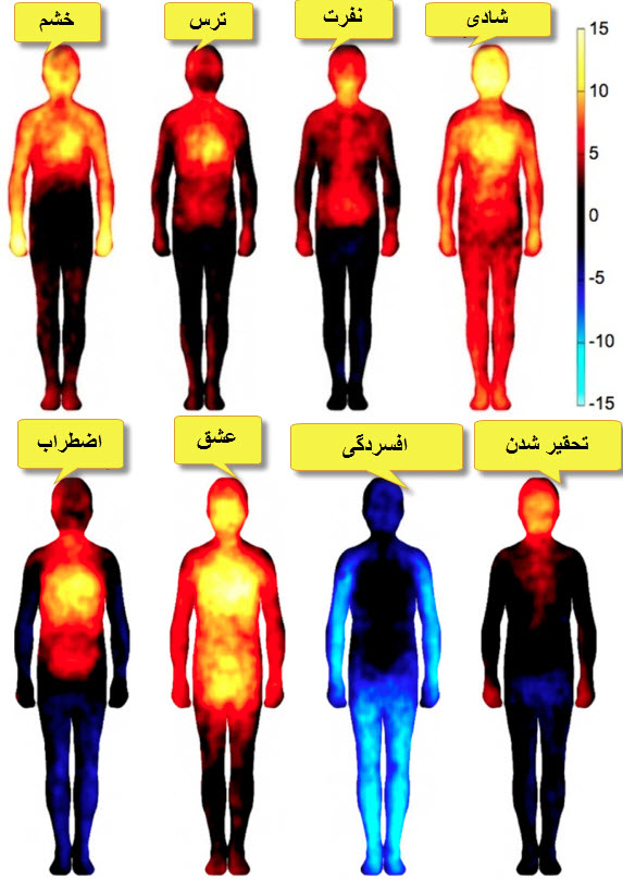 آیا می دانستید در هنگام بروز هر احساسی هر قسمت از بدنتان یک رنگ می شود ؟!