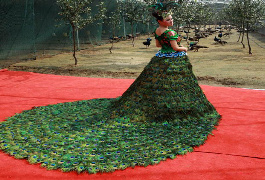 لباس عروسی زیبا با 3000 پر طاووس!