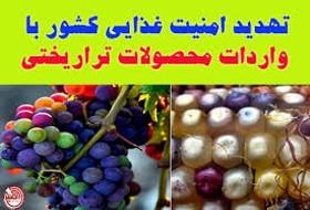 محصولات تراریختی سرطان زا سلامت جامعه را به خطر می اندازد / مواد غذایی با رنگ و لعاب ژنتیکی مهمان سفره های ایرانی