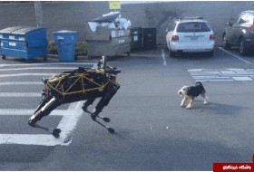 جنگ سگ ها با ربات ها، ارمغان دنیای تکنولوژی + فیلم و تصاویر