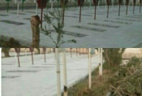 قلع و قمع درختان گلزار شهدا در زابل/ رئیس بنیاد شهید: قطع درختان با هدف زیباسازی انجام شده است
