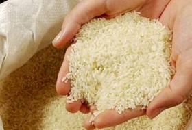 820 تن برنج و مرغ در سیستان و بلوچستان توزیع شد