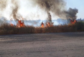 آتش بی توجهی به جان جنگل نیاتک شهرستان هیرمند+عکس
