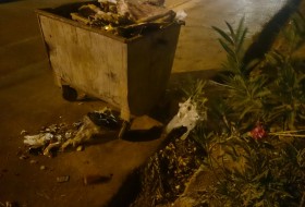 تپه های آشغال موجود در شهر عامل اصلی بیماری شهروندان سیستان/باید جلوی زباله گردها گرفته شود/معضل زباله های زابل نیازمند فرهنگ سازی است