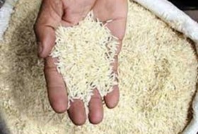 توزیع برنج پاکستانی به نرخ دولتی در زابل