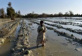کشاورزان سیستانی چشم انتظار پرداخت خسارات ناشی از سیل