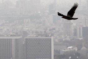 «آلودگی هوا» روی نتیجه امتحانات تأثیر منفی می‌گذارد
