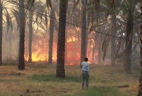 آتش‌سوزی جنگل گلوبردکان «ریز» مهار شد