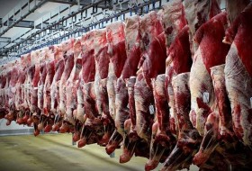 گوشت با نرخ ۱۰۰ هزار تومان گران‌فروشی است/اظهار بی اطلاعی مسئولان از قاچاق دام!
