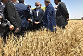 گزارش تصویری/ سفر وزیر جهاد کشاورزی به منطقه سیستان