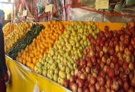 صادرات 298 هزار تن میوه به 43 کشور جهان
