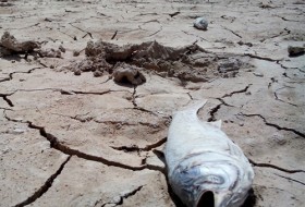 فعالیت خطرناک افغان ها بر روی رودخانه هیرمند/سیستان در آستانه خشکسالی بی سابقه