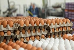 چرا دولت در مورد افزایش شدید قیمت تخم مرغ پاسخگو نیست؟/ تخم مرغ دانه‌ای ۲۰۰۰ تومان هم ارزان است!