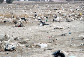 پدیده عجیب مزرعه پلاستیکی در سیستان و بلوچستان!!