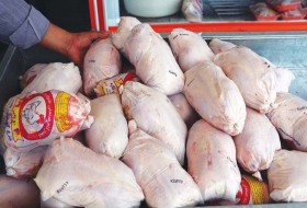 فروش مرغ قطعه بندی شده در واحدهای صنفی ممنوع شد