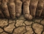 خطر خالی شدن مرزهای شمالی سیستان و بلوچستان در پی خشکسالی