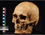 جمجمه چند هزارساله راز ژنتیک انسان‌های ماقبل تاریخ را فاش کرد